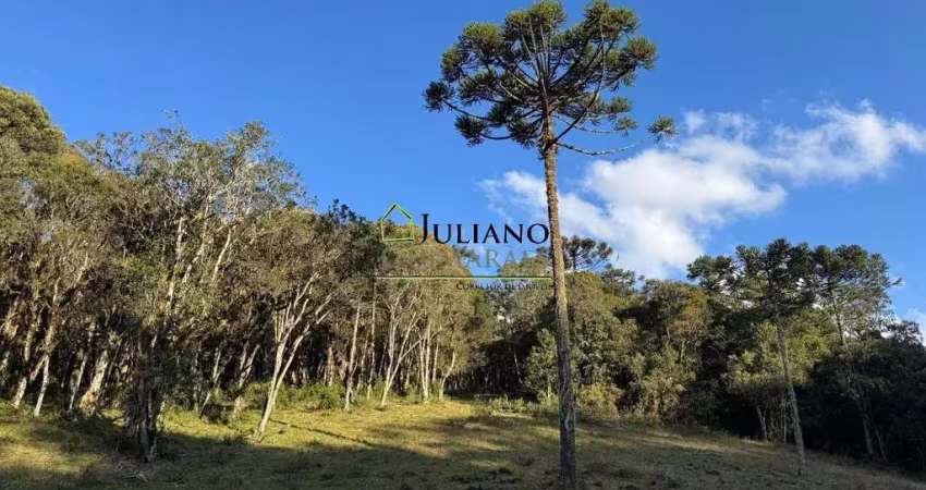 Terreno à venda na Aguas Claras, 000, Águas Claras, Rancho Queimado