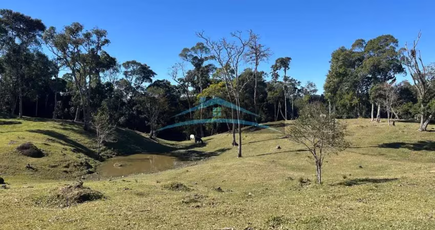 Terreno à venda na Be 282 km 60 cond portal da Serra, Km 60, Centro, Rancho Queimado