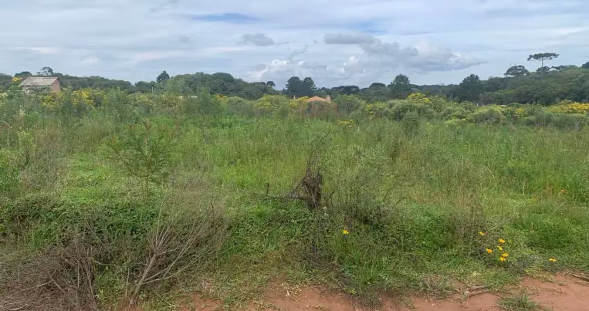 Terreno à venda, campina do taquaral, campo largo da roseira (são josé dos pinhais), pr