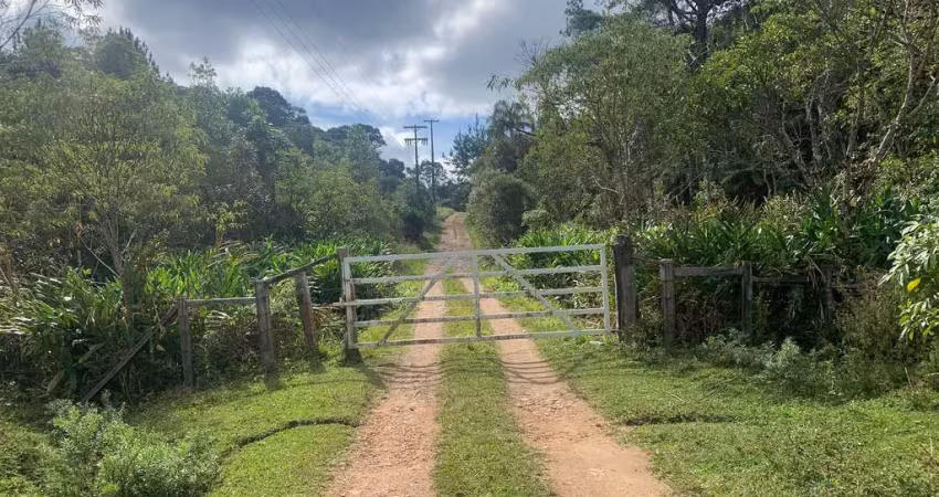Chácara / sítio com 2 quartos à venda na BR 376, Matulão, Tijucas do Sul