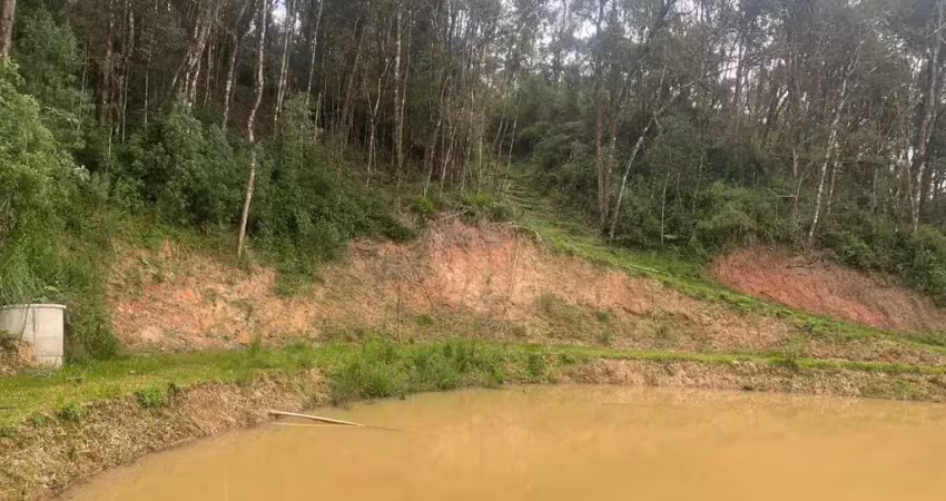 Chácara à venda, borda do campo, são josé dos pinhais, pr