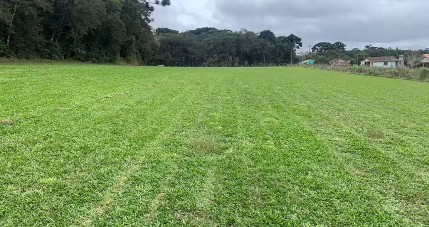 Terreno maravilhoso no campo largo da roseira (são josé dos pinhais), pr