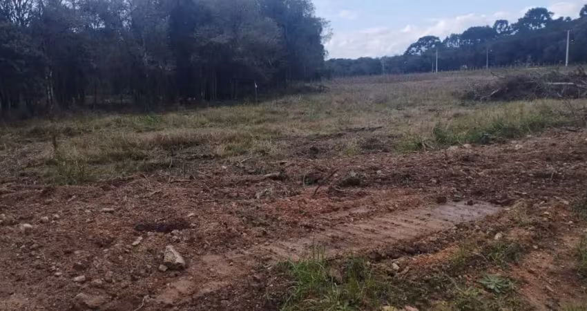 Terreno à venda, área rural de fazenda rio grande, fazenda rio grande, pr