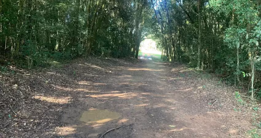 Chácara à venda, roseira do campo largo, campo largo da roseira, pr