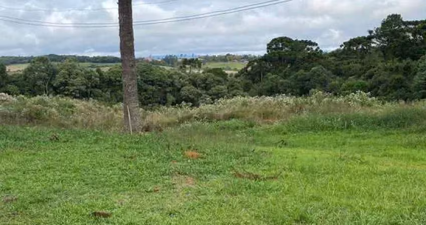 Chácara à venda, contenda, campo largo da roseira, pr