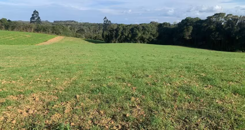 Terreno com 60 mil metros, campo largo da roseira, são josé dos pinhais, pr