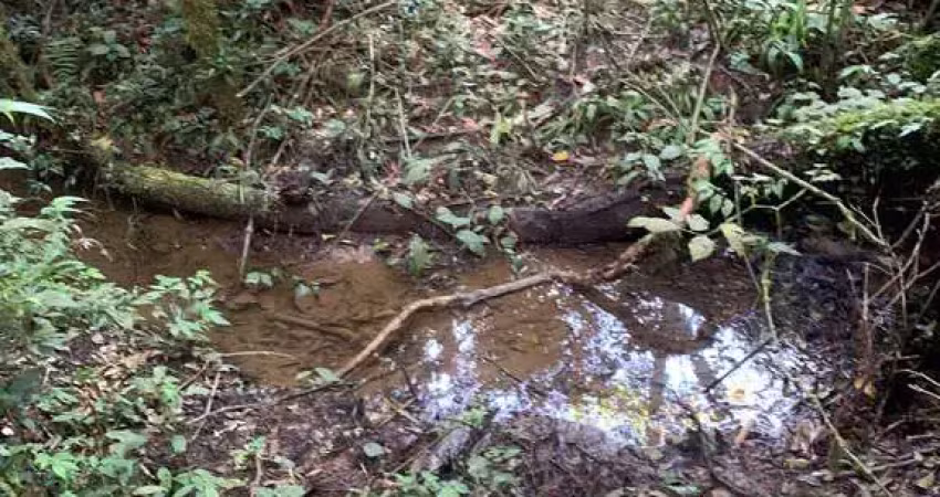 Terreno à venda, campestre da faxina, são josé dos pinhais, pr