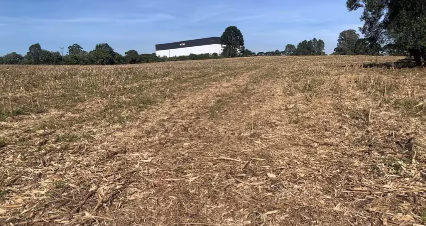 Terreno industrial à venda, campo largo da roseira, são josé dos pinhais, pr