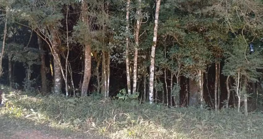 Promoção apenas 200 mil doc. ok, campestre da faxina, são josé dos pinhais, pr
