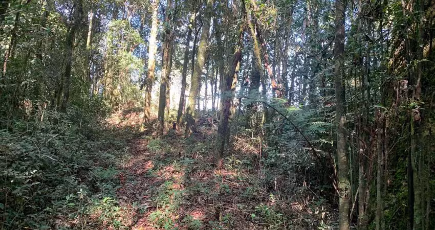 Promoção apenas 200 mil doc. ok, campestre da faxina, são josé dos pinhais, pr
