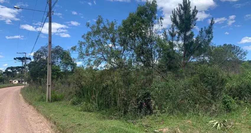 Terreno com 4 mil metros por 190 mil na cotia , são josé dos pinhais, pr