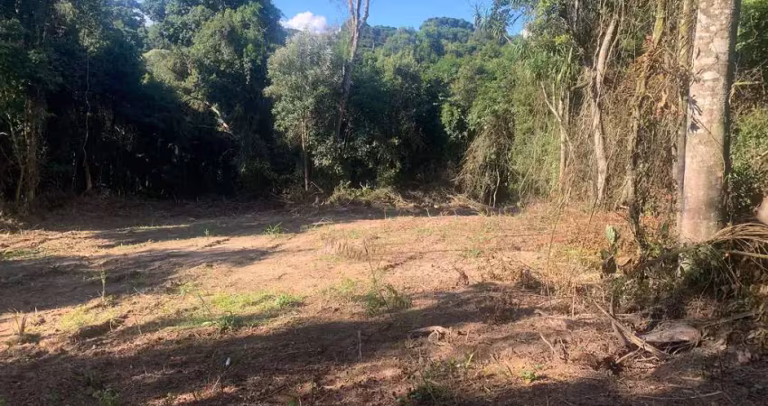 Terreno à venda, colonia marcelino, são josé dos pinhais, pr