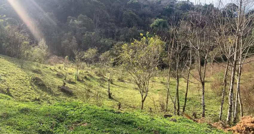 Terreno à venda apenas 300m de estrada de chão, matulão, tijucas do sul, pr