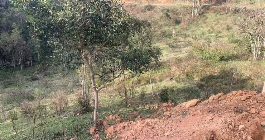 Terreno à venda apenas 300m de estrada de chão, matulão, tijucas do sul, pr