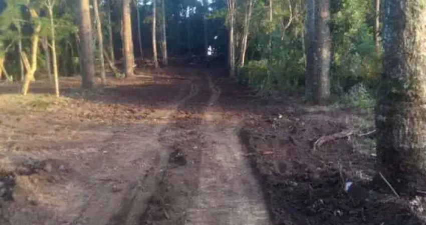 Terreno com 600 metros, negociação direto com proprietário, jd fatima, são josé dos pinhais, pr