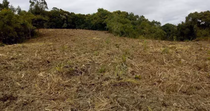 Chácara à venda, roça velha, são josé dos pinhais, pr