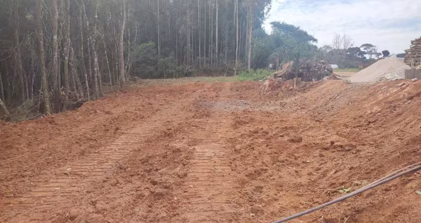 Terreno à venda, colonia marcelino, são josé dos pinhais, pr