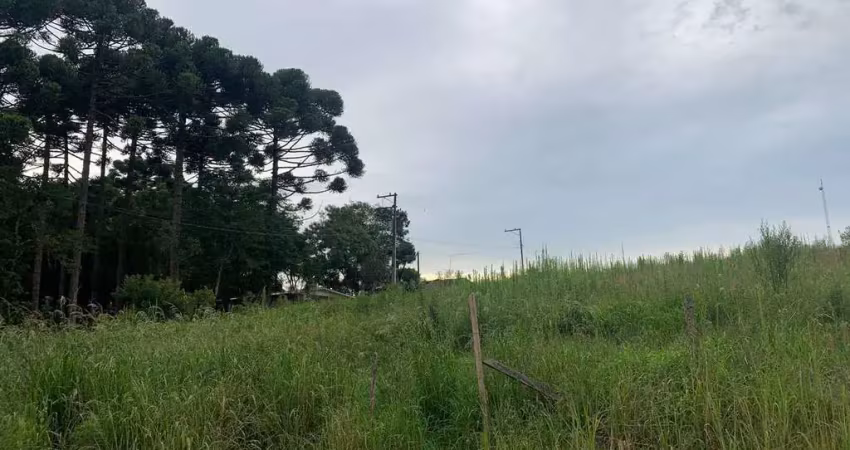 Chácara à venda, roseira do campo largo, são josé dos pinhais, pr