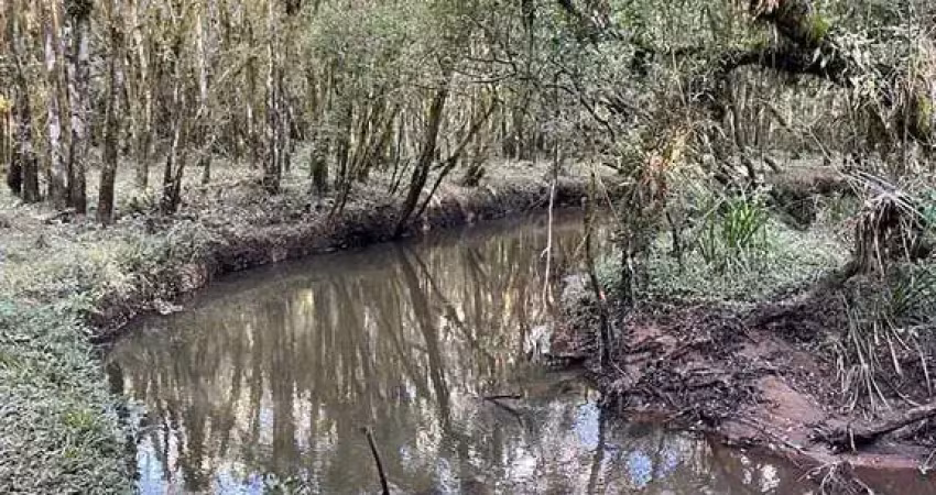 Chácara / sítio à venda na estrada de servidão, 2121, Tabatinga, Tijucas do Sul