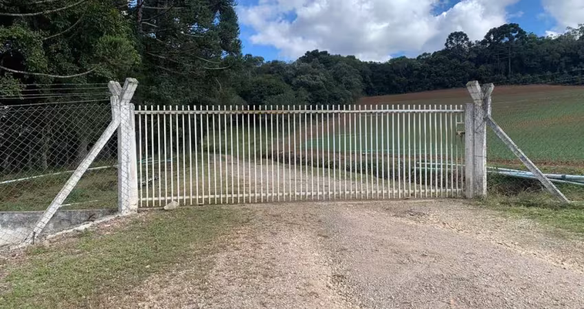 Chácara à venda, colonia marcelino, são josé dos pinhais, pr
