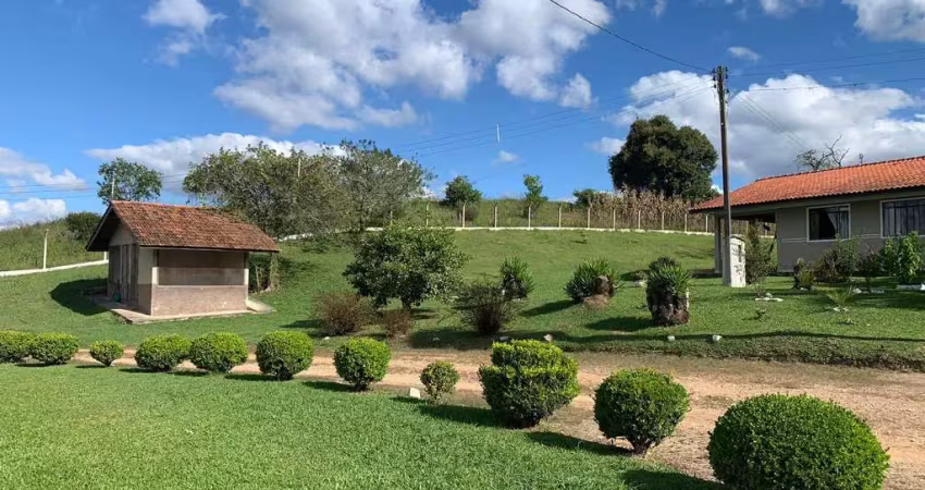 Propriedade produtiva, colonia marcelino, são josé dos pinhais, pr