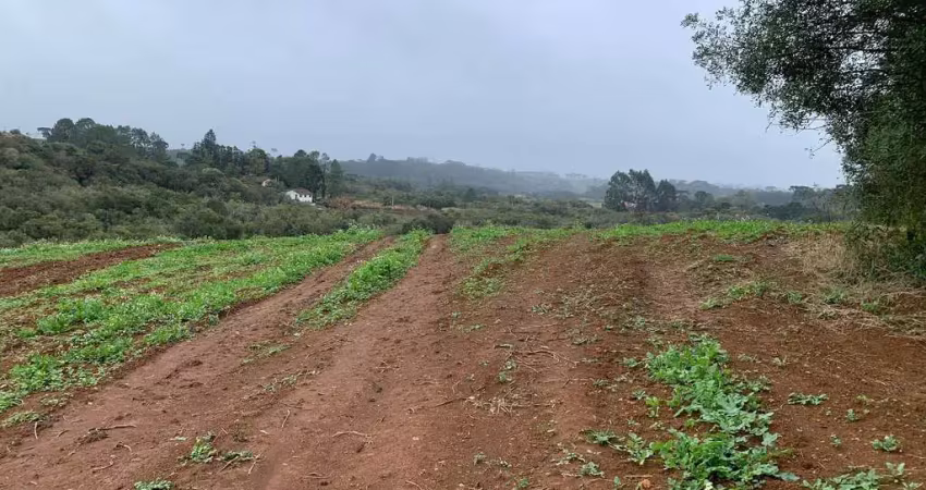 Excelente terreno 100 mil metros, colônia malhada, sjp, pr