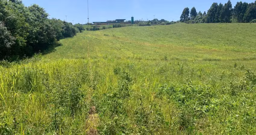 Terreno à venda na Rua Antonio Baldan, 1, Jardim Veneza, Fazenda Rio Grande