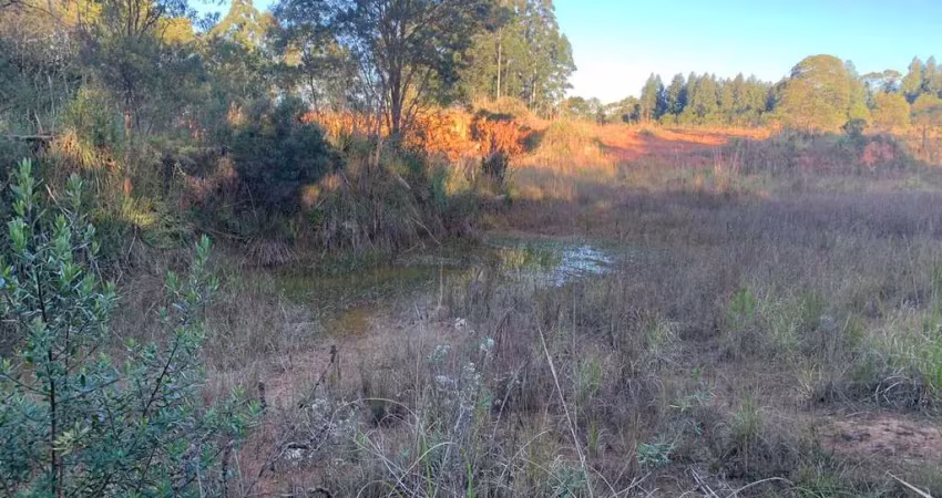 Terreno à venda, papanduva, são josé dos pinhais, pr
