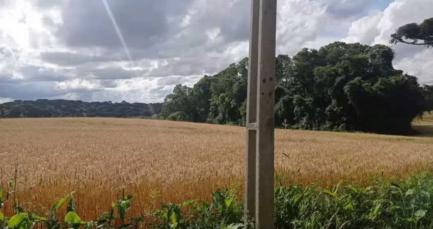 Terreno à venda na Estrada de Tietê, 121, Tietê, Araucária