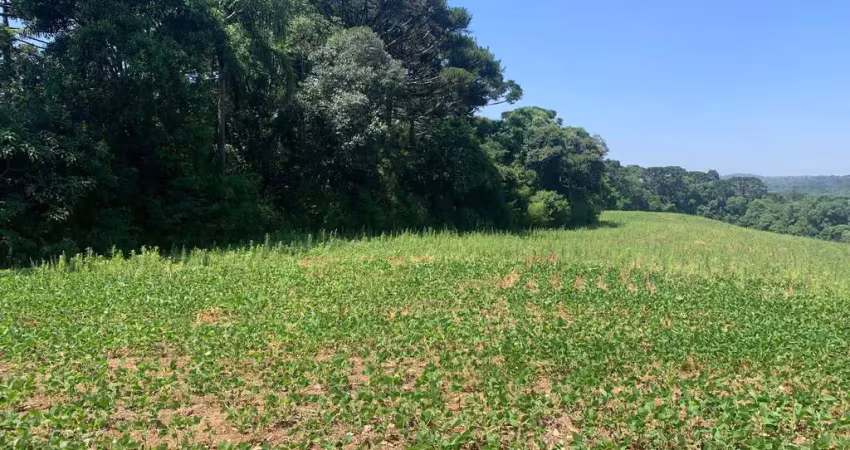 Terreno à venda na Rua Antonio Baldan, 151, Jardim Veneza, Fazenda Rio Grande