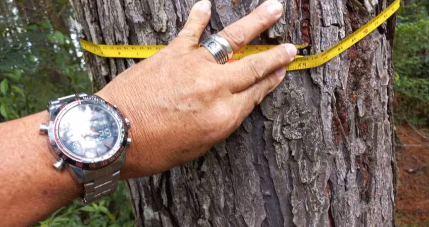 Terreno à venda na Rua João Bertoja, Itaqui de Cima, Campo Largo
