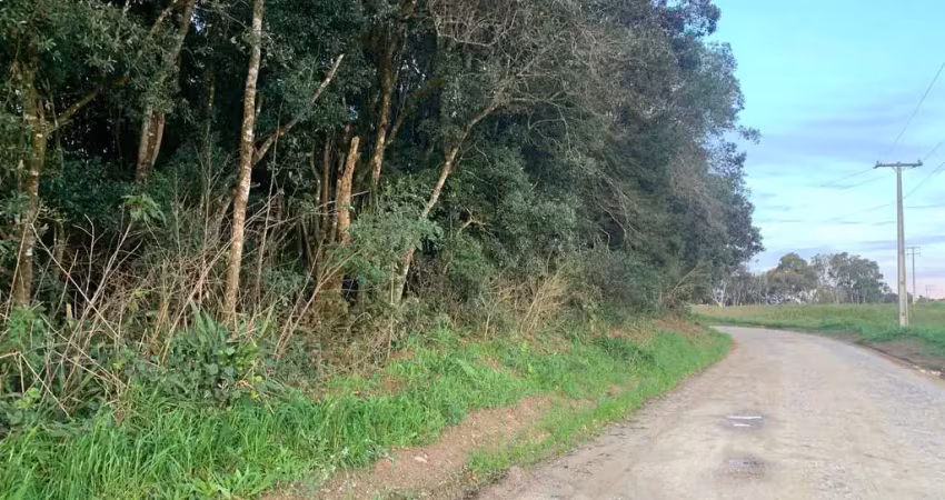 Terreno à venda, área rural de fazenda rio grande, fazenda rio grande, pr