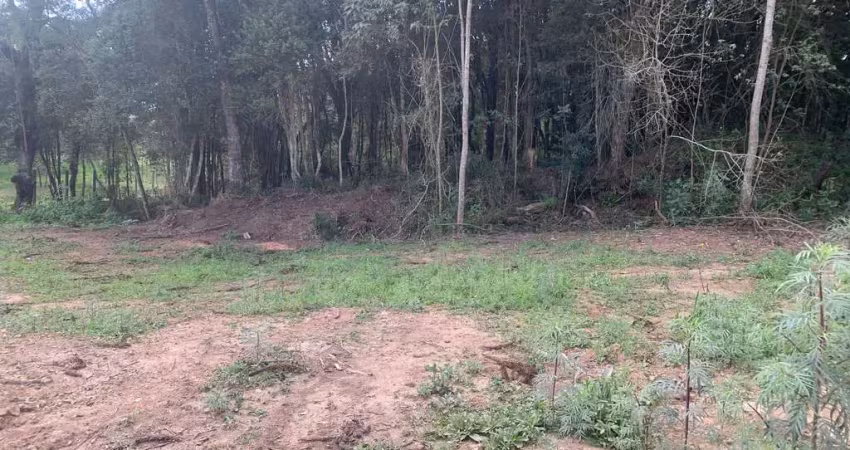 Terreno à venda, colonia marcelino, são josé dos pinhais, pr