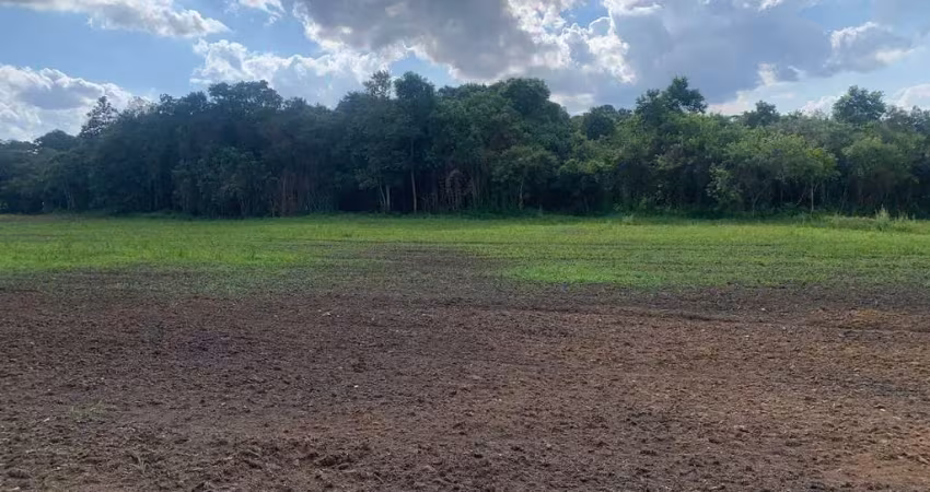 Excelente terreno à venda, área rural de fazenda rio grande, fazenda rio grande, pr