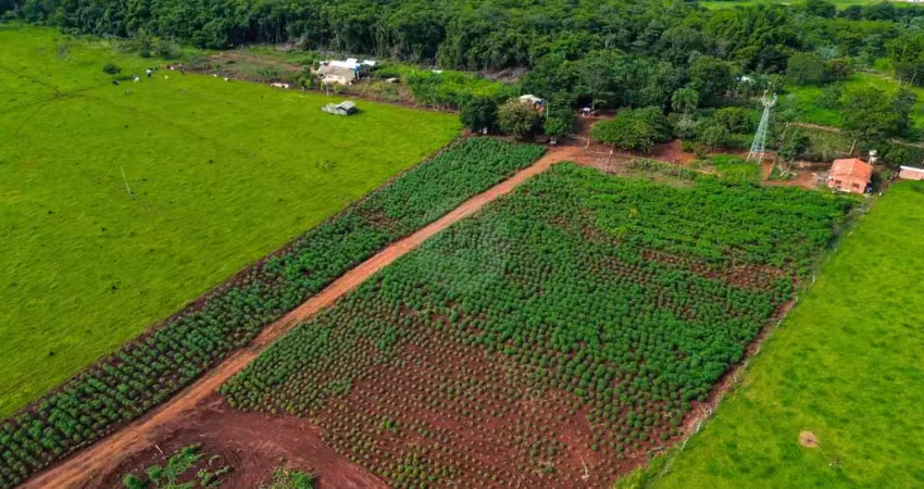 Excelente terreno à venda na br-158 – próximo ao aeroporto de jataí
