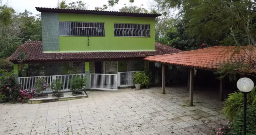 Sítio 4 quartos 13.000 m² com madeira de lei (com 10 anos) e pomar, capinal