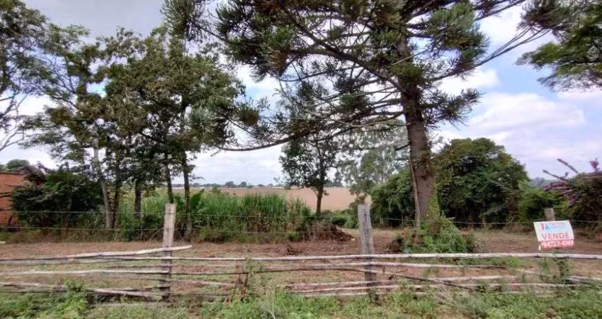 Fazenda/sítio/chácara para venda com 8000 metros quadrados