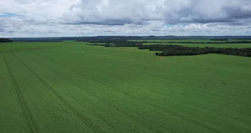 Fazenda 700 hectares com 400 hectares plantando lavoura - mt