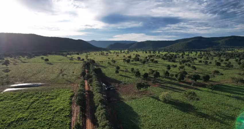 Fazenda 1.300 hectares terra de cultura, dupla aptidão - mt