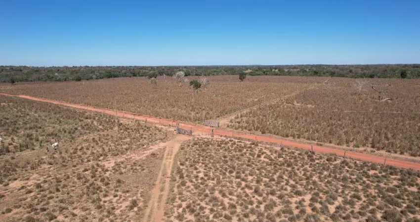 Fazenda a venda 68 hectares dupla aptidão, solo de cultura - mt