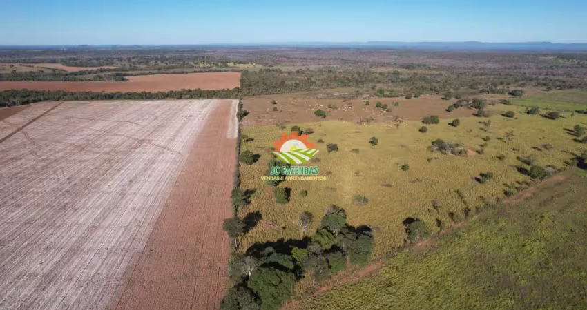 Fazenda a venda 150 hectares, terra de cultura, dupla aptidão - mt