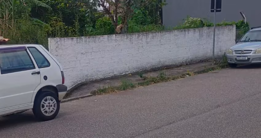 Terreno em serraria 12x25,4 com preço exclusivo na rua virgilino domingos da silva