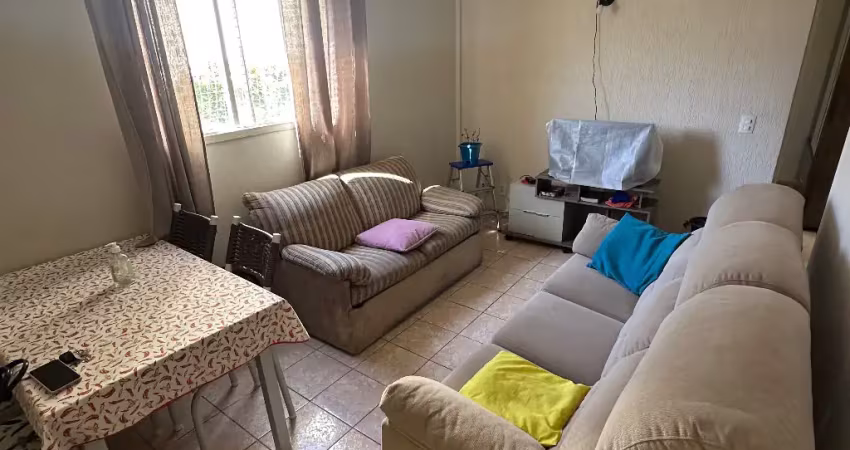 Apartamento com 2 quartos para alugar na Rua Rúbens Roberto Ciolfi, 720, Parque Residencial Vila União, Campinas