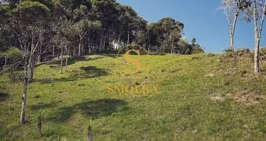 Terreno em condomínio fechado à venda em Varginha, Santo Amaro da Imperatriz 