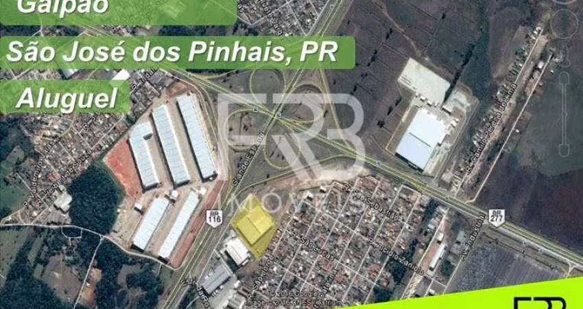 Galpão / Depósito / Armazém em Roseira - São José dos Pinhais, PR