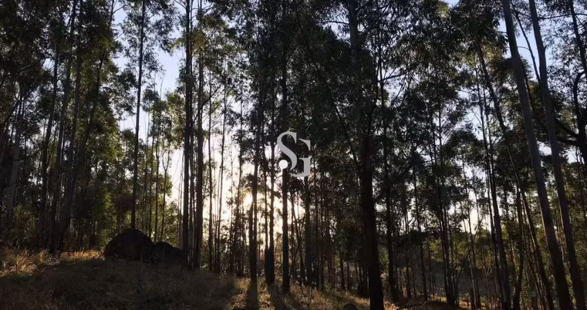 Terreno à venda na Estrada Sousas-Pedreira, S/N, Sousas, Campinas