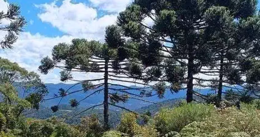 Chácara / sítio à venda na Estrada Geral, Zona Rural, Urubici