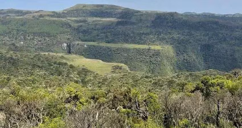 Chácara / sítio à venda na Estrada Geral, Zona Rural, Urubici