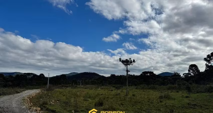 Chácara / sítio à venda na Zona Rural, Rio Rufino 