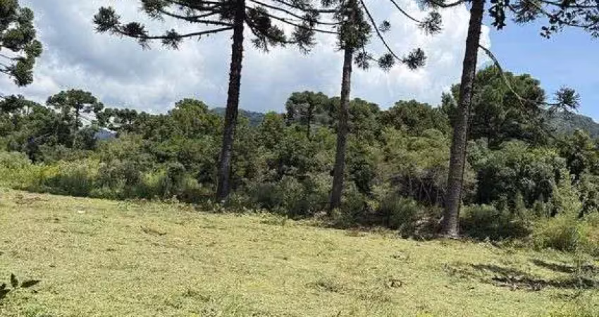 Terreno à venda na Rua Boaventura Ribeiro de Souza, Centro, Urubici